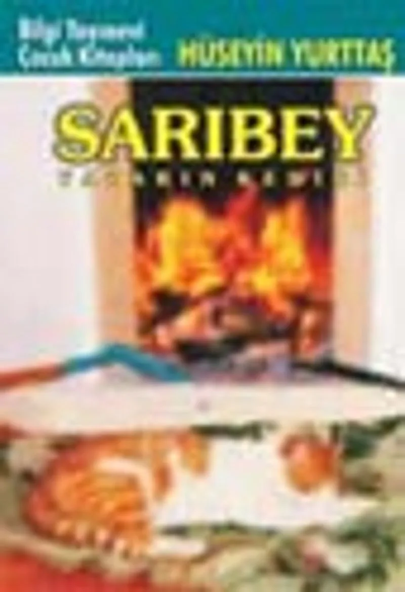 Sarıbey Yazarın Kedisi