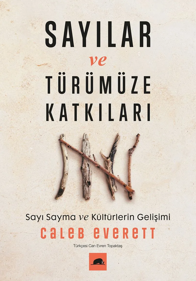 Sayılar ve Türümüze Katkıları: Sayı Sayma ve Kültürlerin Gelişimi