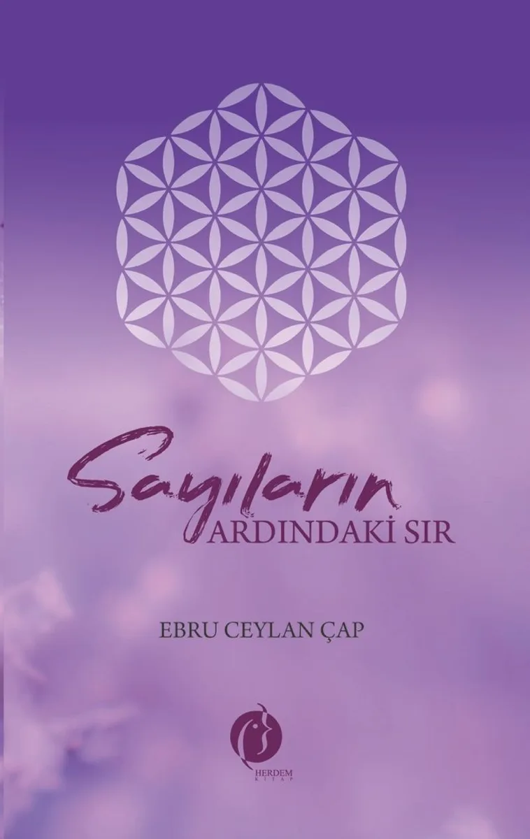 Sayıların Ardındaki Sır