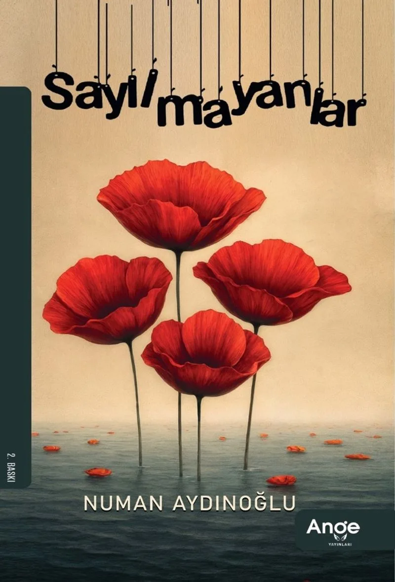 Sayılmayanlar