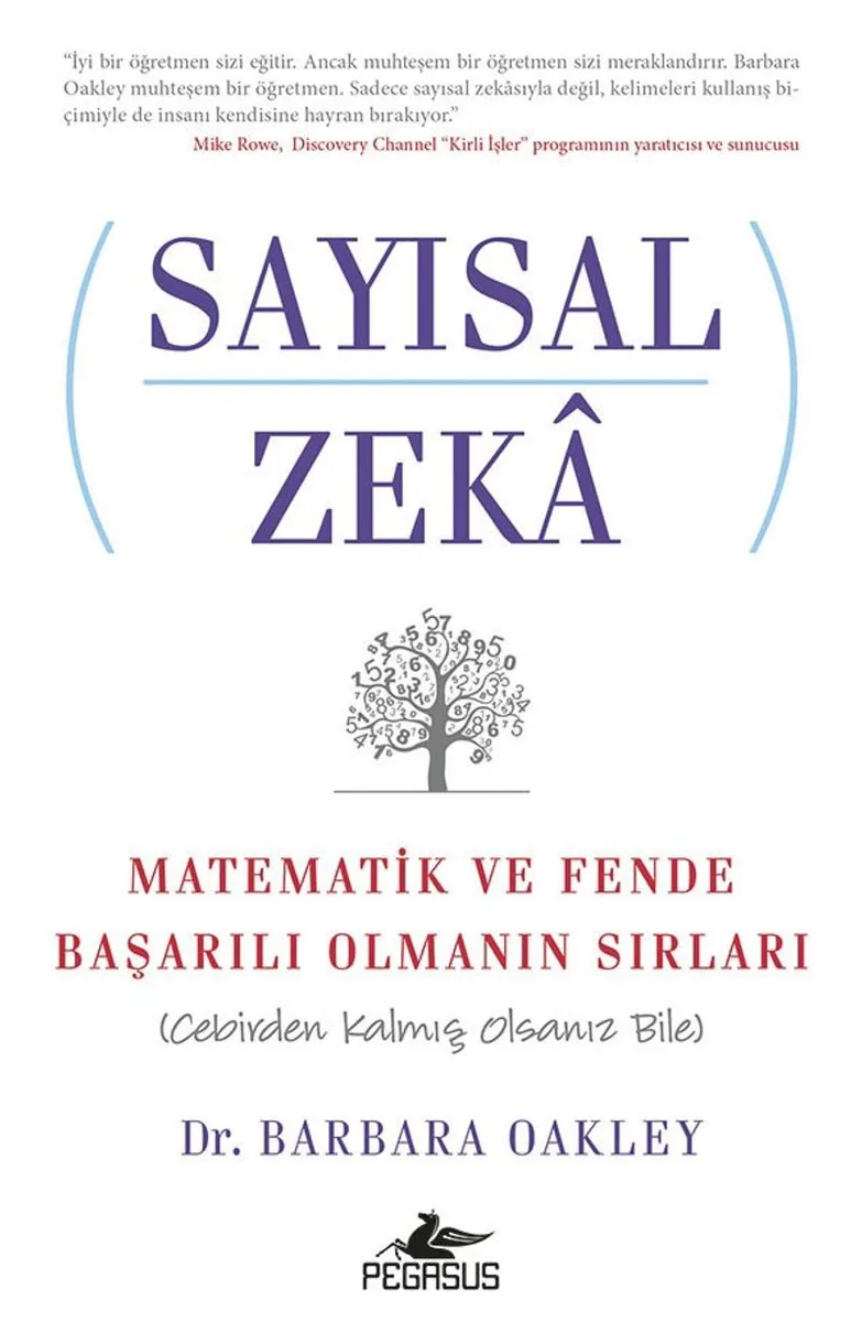 Sayısal Zeka Matematik ve Fende Başarılı Olmanın Sırları (Cebirden Kalmış Olsanız Bile)
