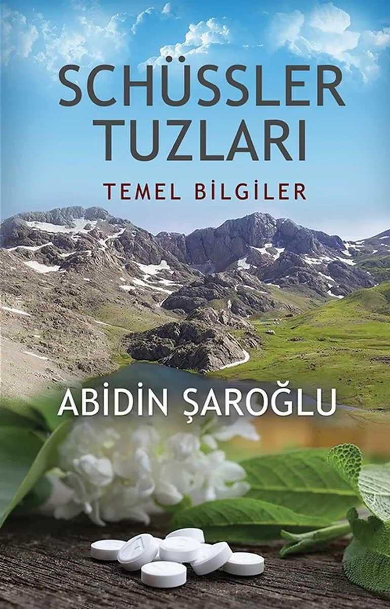 Schüssler Tuzları Temel Bilgiler
