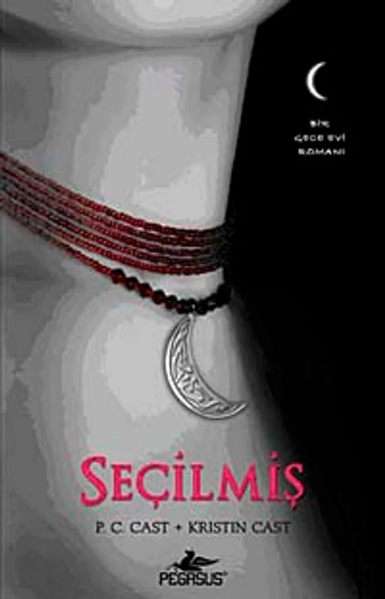 Seçilmiş Bir Gece Evi Romanı