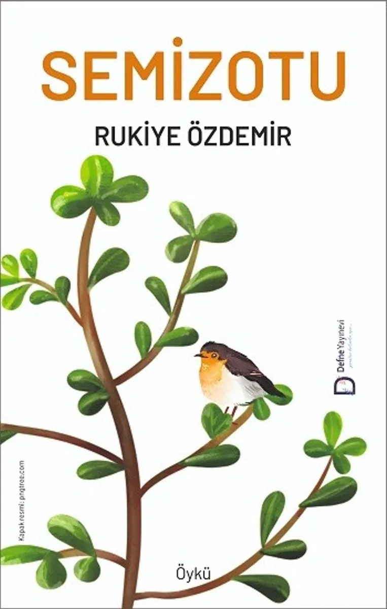 Semizotu