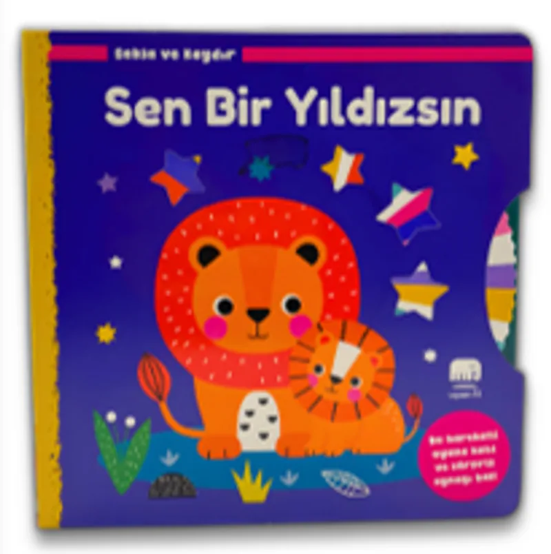Sen Bir Yıldızsın / Sakla ve Kaydır