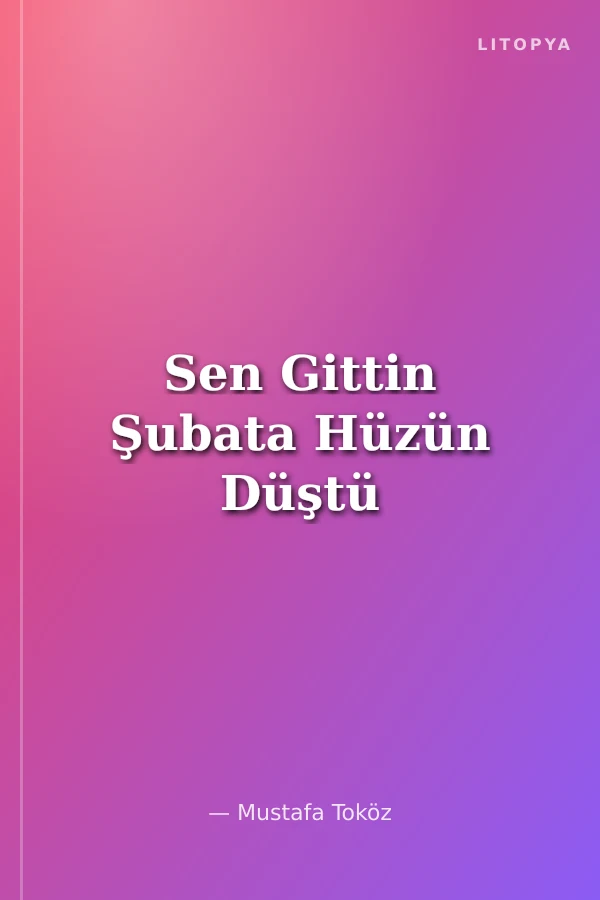 Sen Gittin Şubata Hüzün Düştü