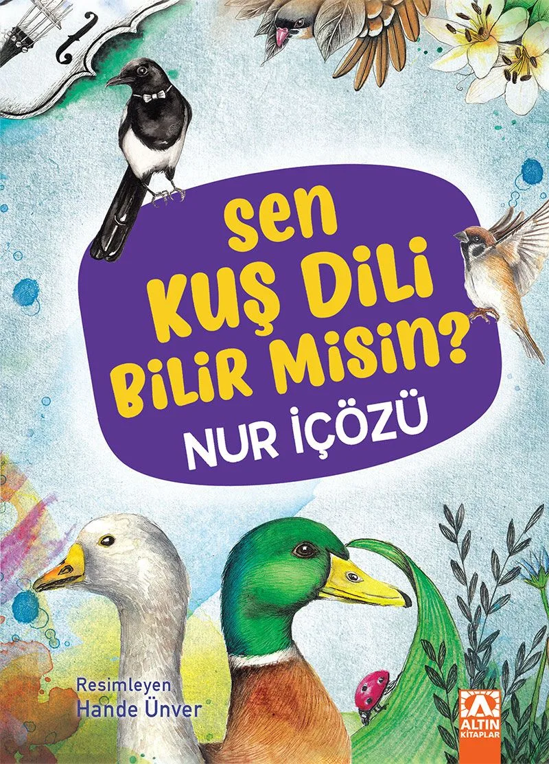 Sen Kuş Nedir Bilir misin?