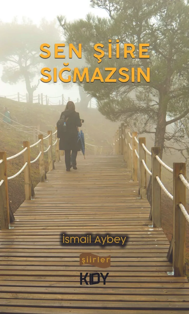 Sen Şiire Sığmazsın