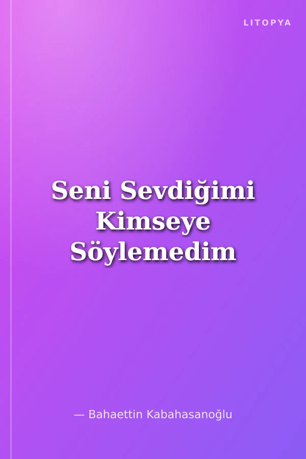 Seni Sevdiğimi Kimseye Söylemedim