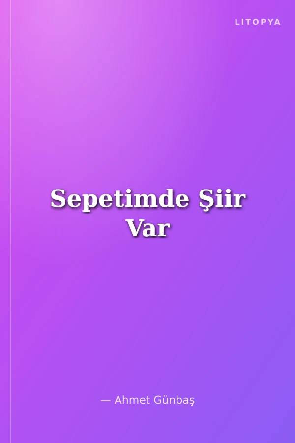 Sepetimde Şiir Var