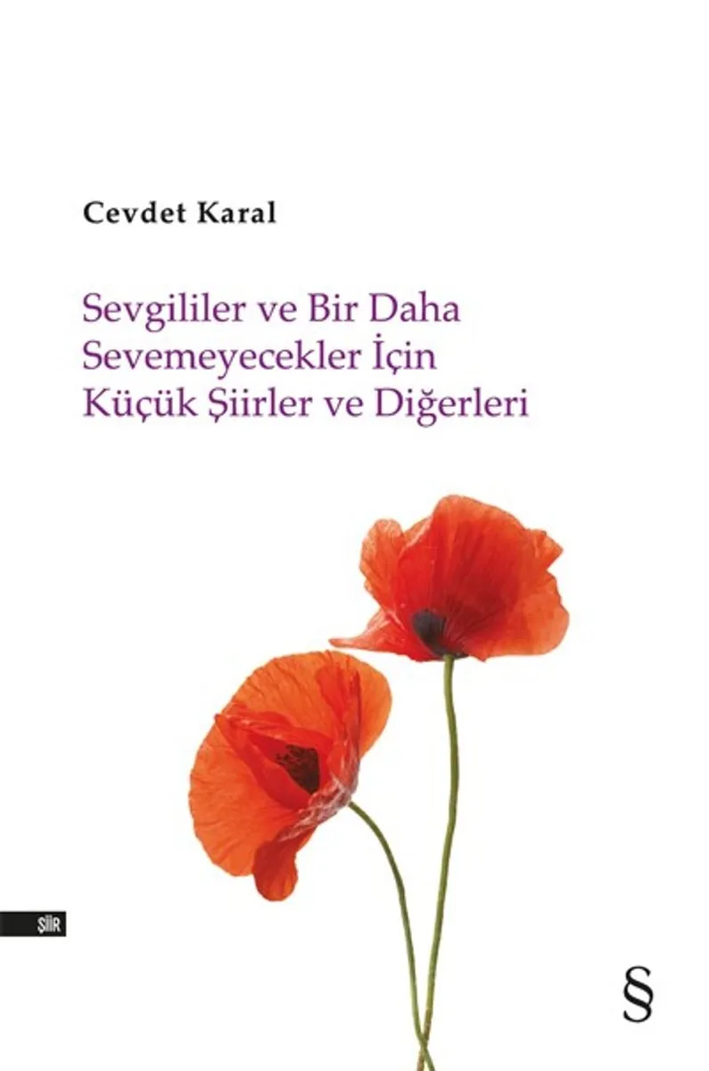 Sevgililer ve Bir Daha Sevemeyecekler İçin Küçük Şiirler ve Diğerleri