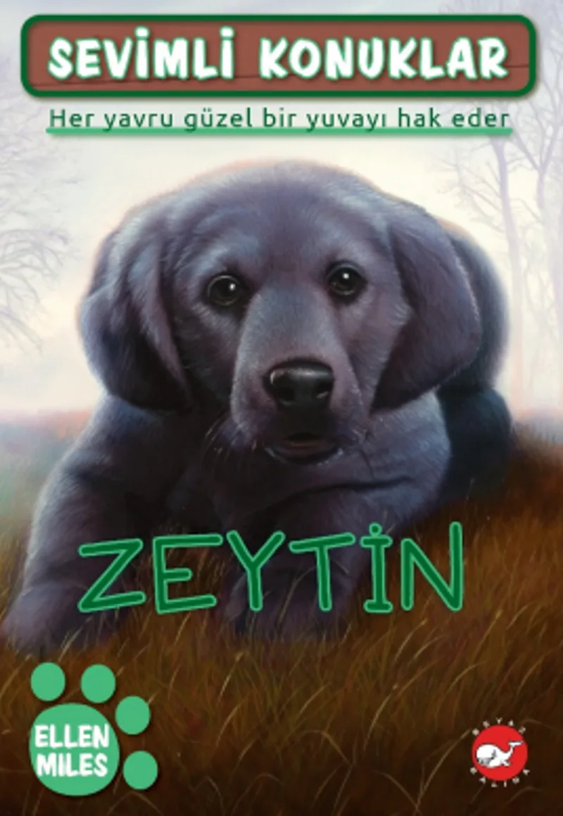 Sevimli Konuklar 3 / Zeytin