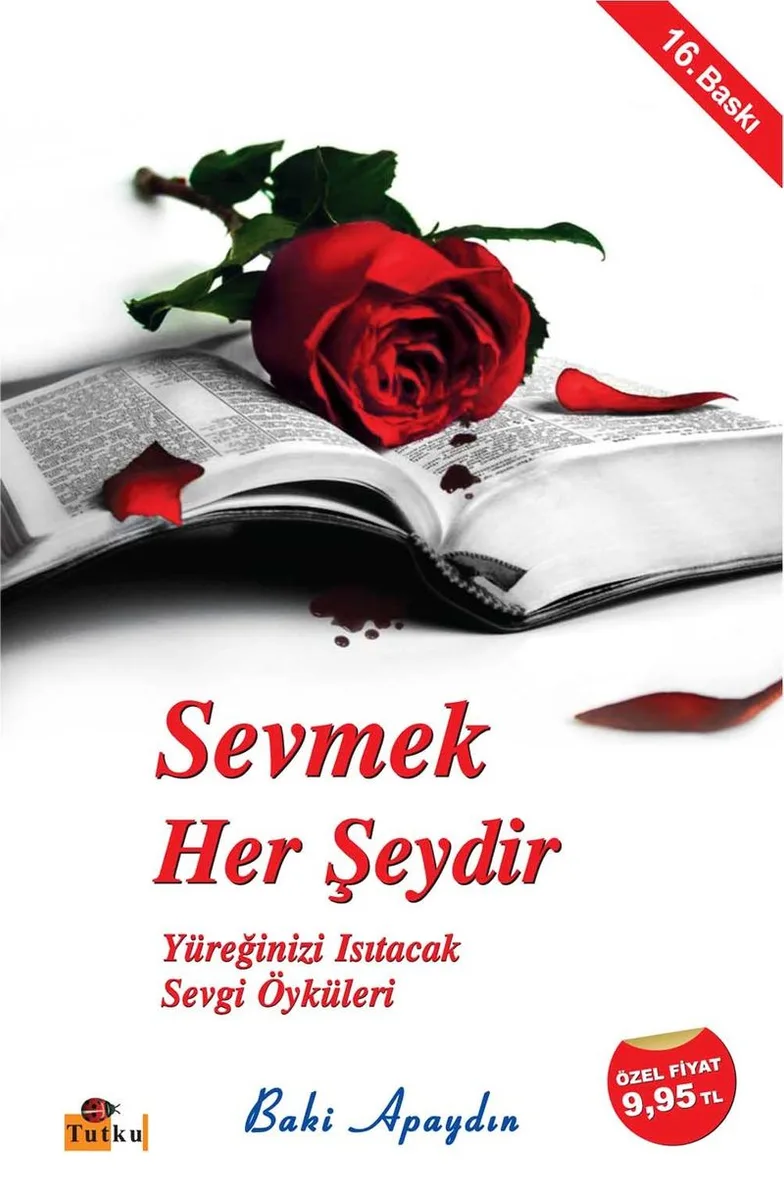 Sevmek Her Şeydir Yüreğinizi Isıtacak Sevgi Öyküleri