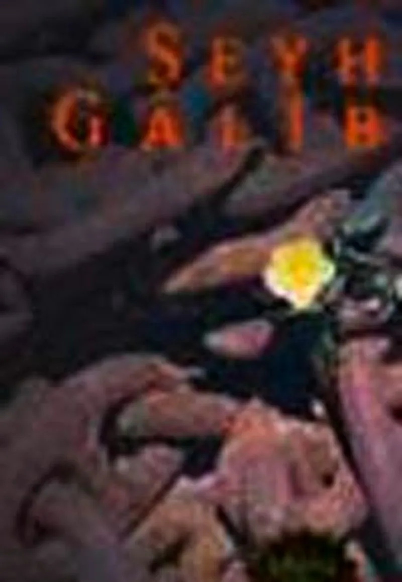 Şeyh Galib