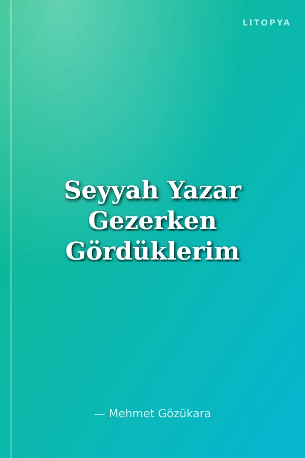 Seyyah Yazar Gezerken Gördüklerim