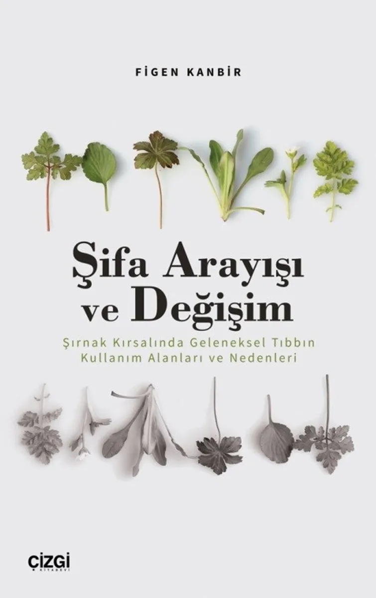 Şifa Arayışı ve Değişim Şırnak Kırsalında Geleneksel Tıbbın Kullanım Alanları ve Nedenleri