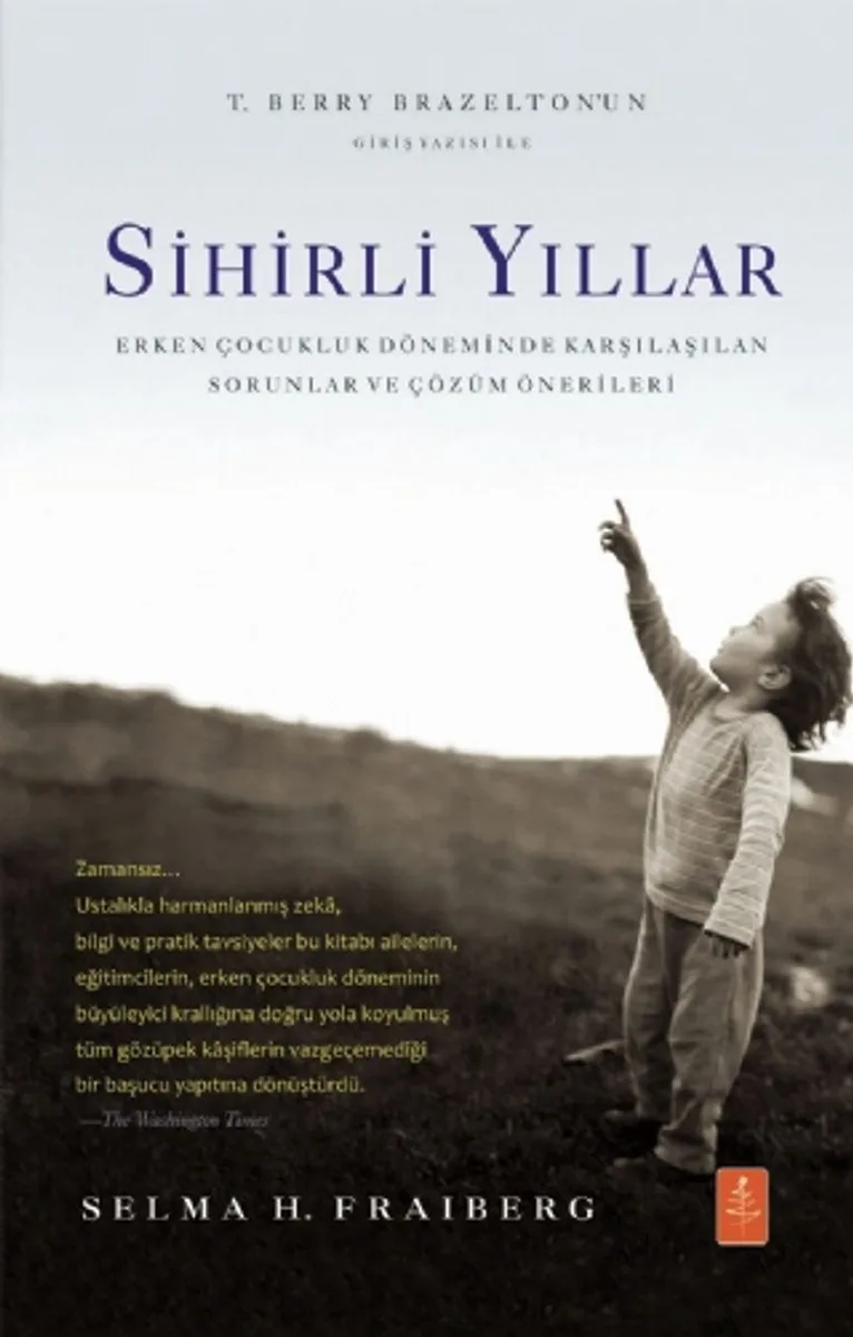 Sihirli Yıllar Erken Çocukluk Döneminde Karşılaşılan Sorunlar ve Çözüm Önerileri
