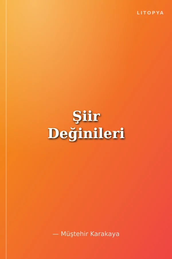 Şiir Değinileri