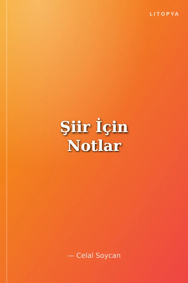 Şiir İçin Notlar