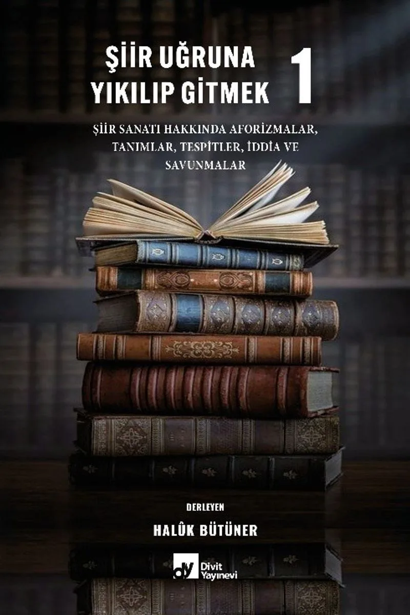 Şiir Uğruna Yıkılıp Gitmek 1
