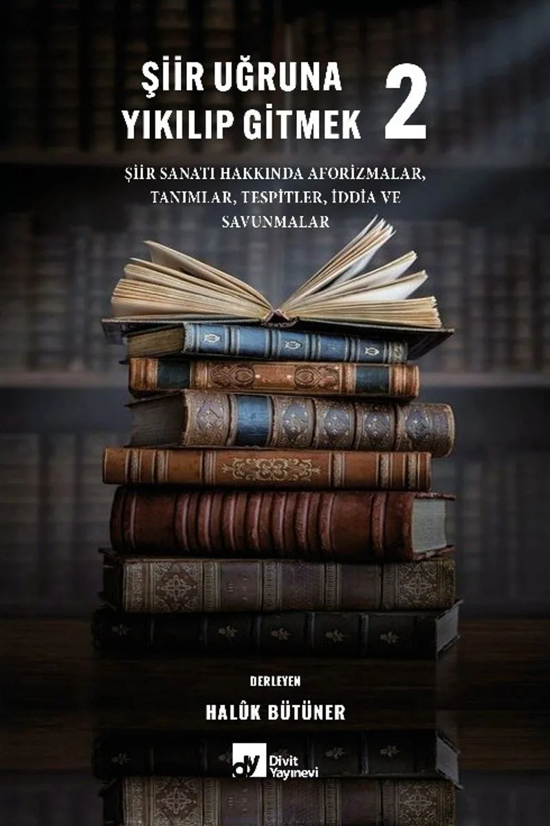 Şiir Uğruna Yıkılıp Gitmek 2