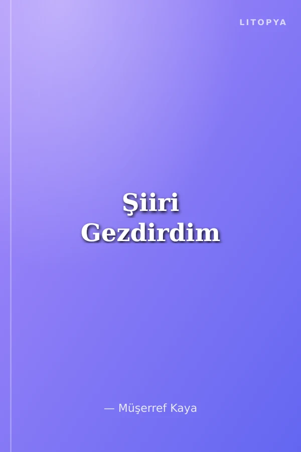 Şiiri Gezdirdim