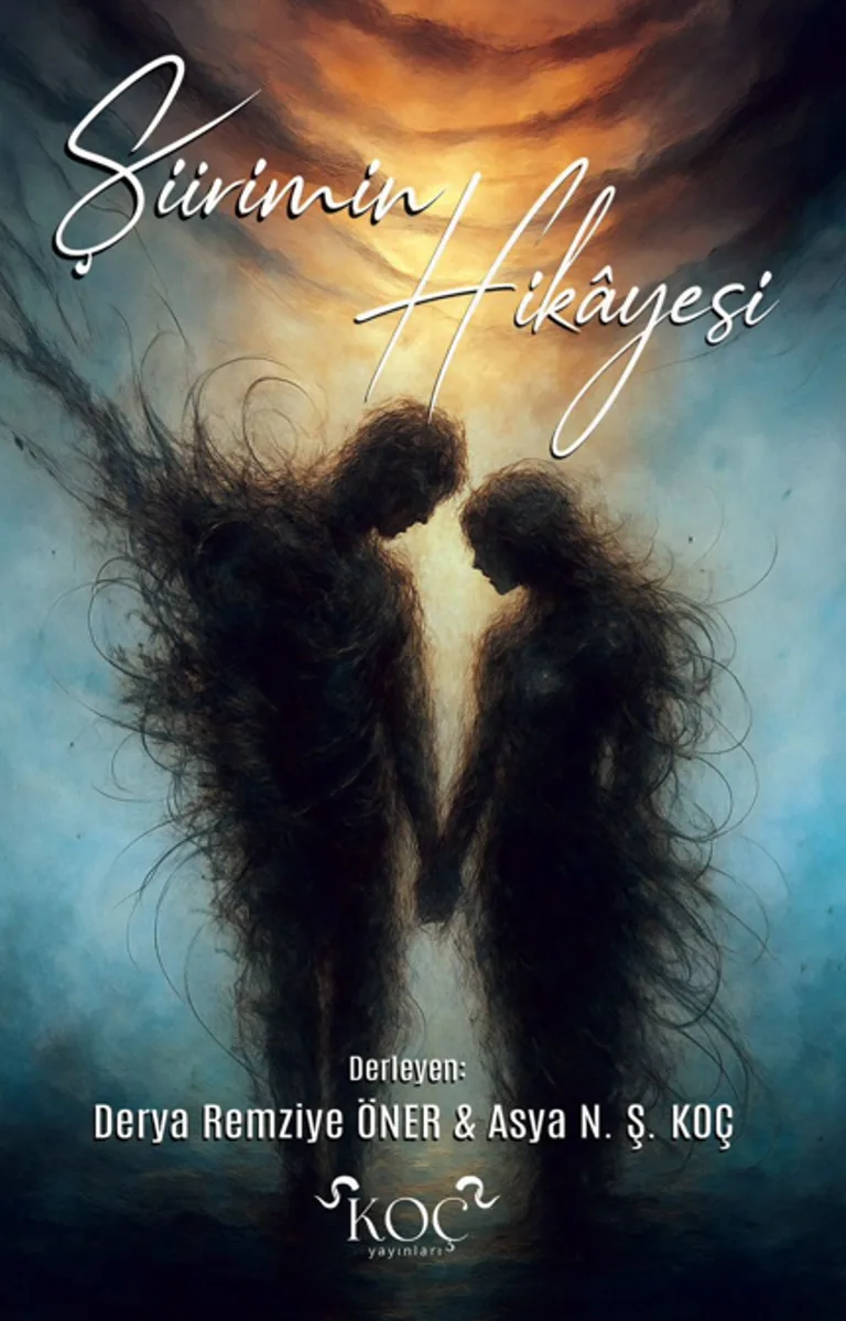 Şiirimin Hikayesi