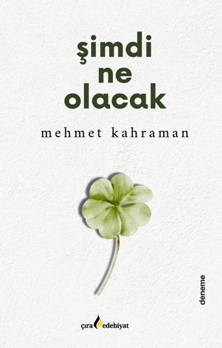 Şimdi Ne Olacak