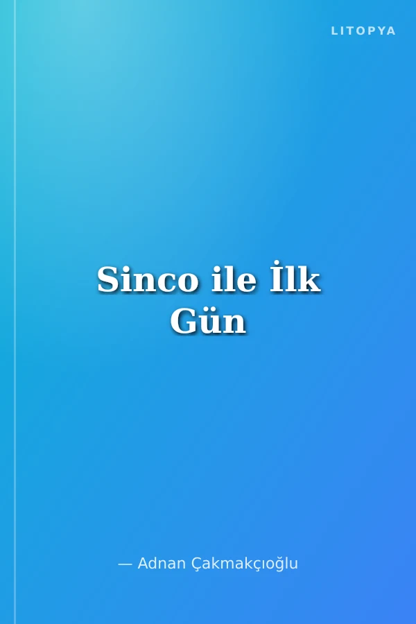 Sinco ile İlk Gün