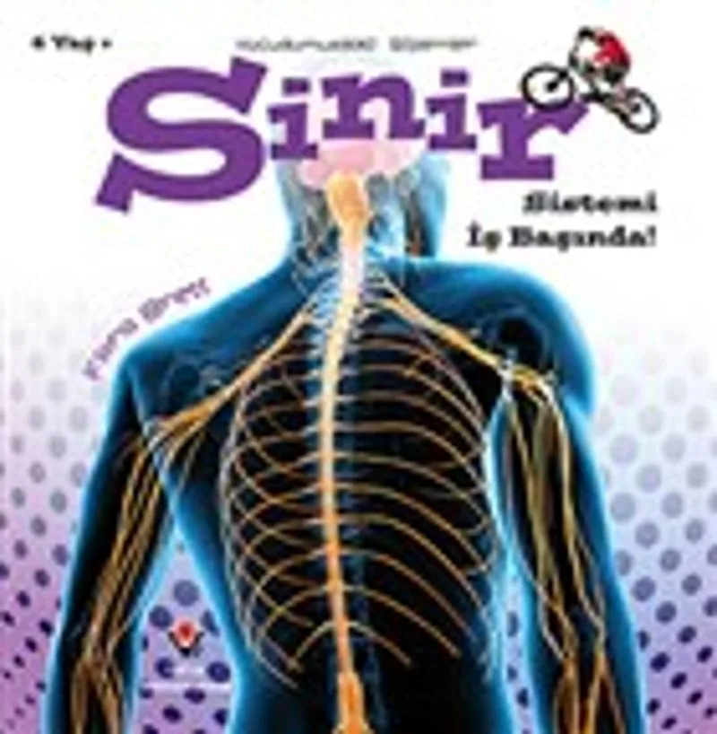 Sinir Sistemi İş Başında! - Vücudumuzdaki Sistemler