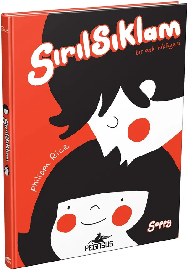 Sırılsıklam Bir Aşk Hikayesi (Ciltli)
