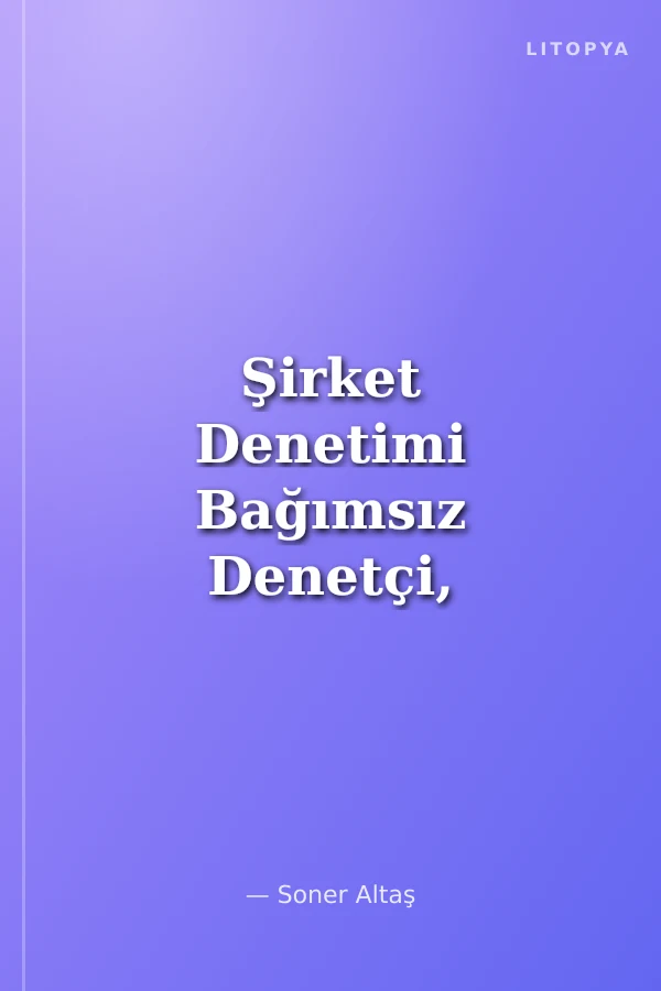 Şirket Denetimi Bağımsız Denetçi, Denetçi ve Özel Denetçi
