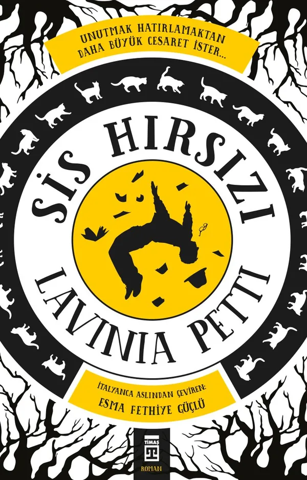 Sis Hırsızı