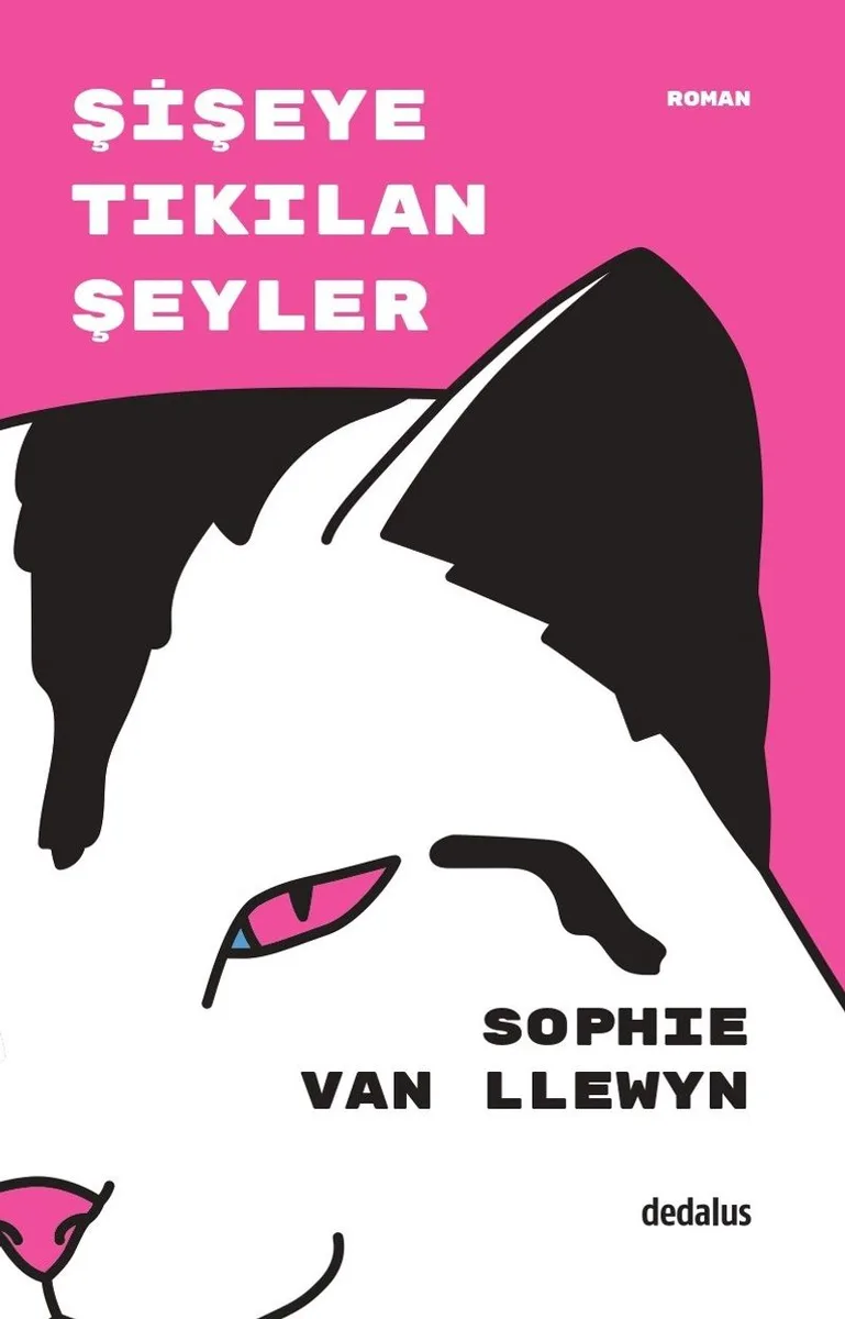 Şişeye Tıkılan Şeyler