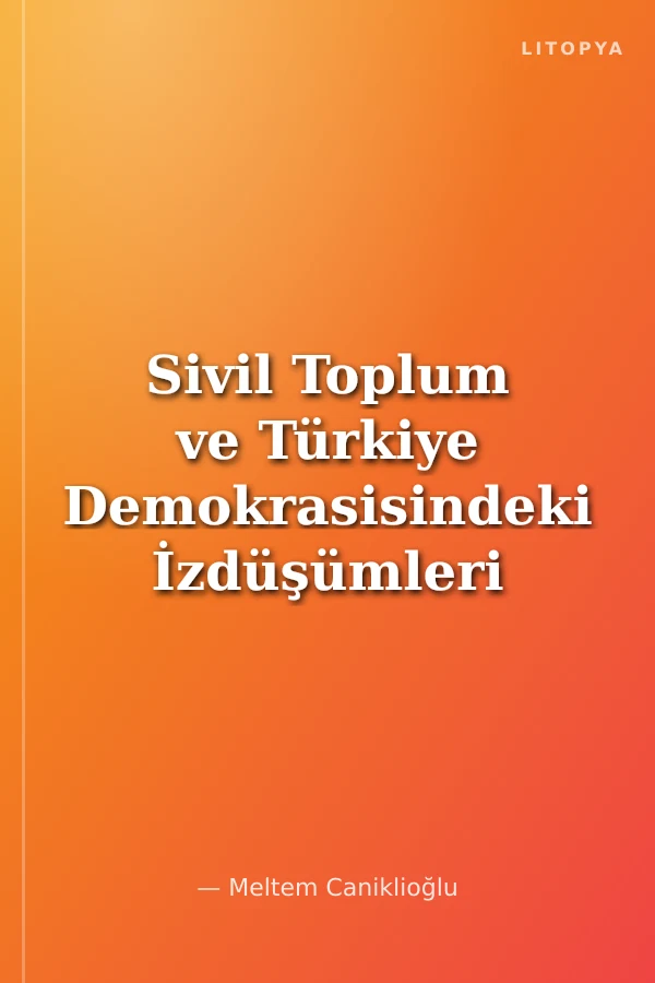 Sivil Toplum ve Türkiye Demokrasisindeki İzdüşümleri