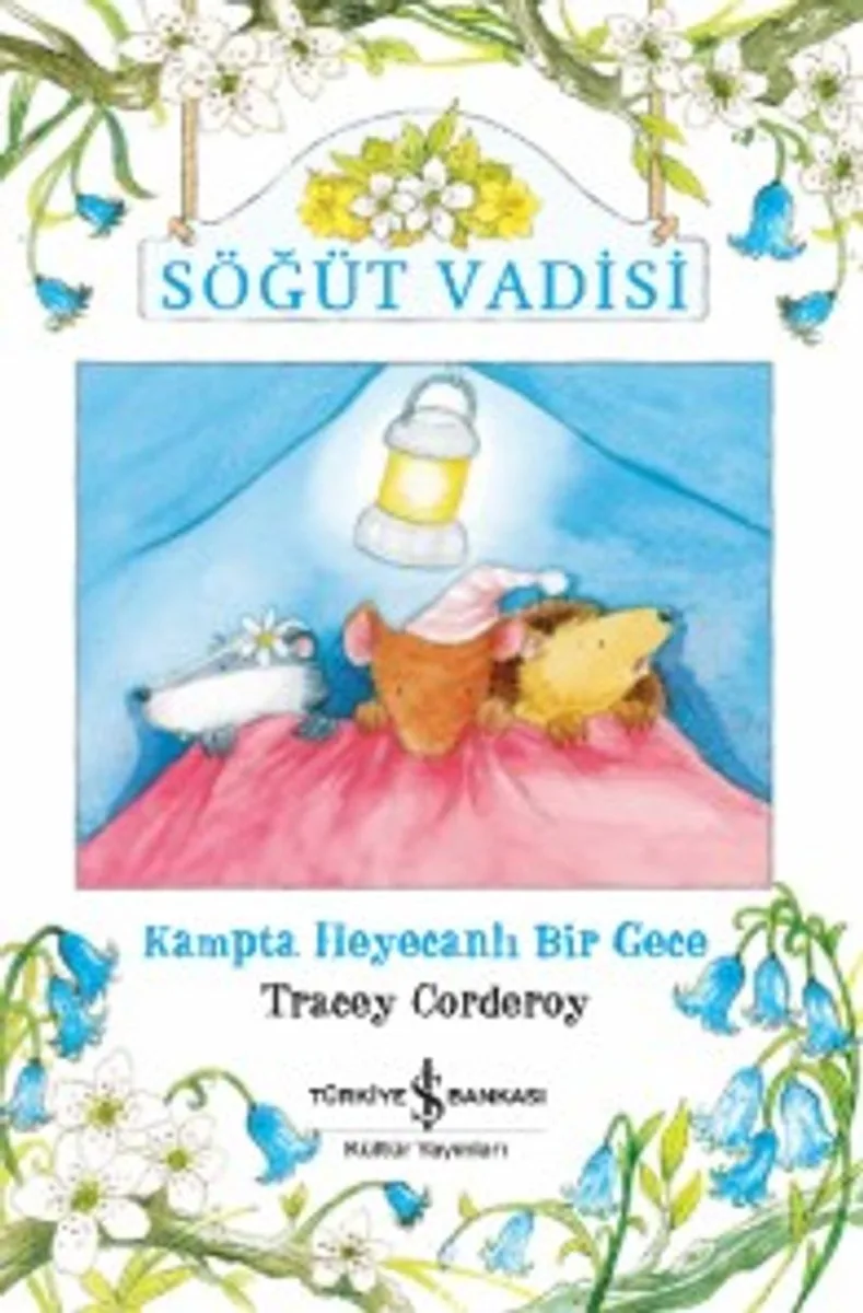 Söğüt Vadisi Kampta Heyecanlı Bir Gece