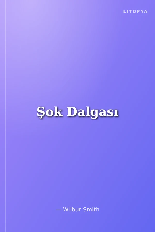 Şok Dalgası