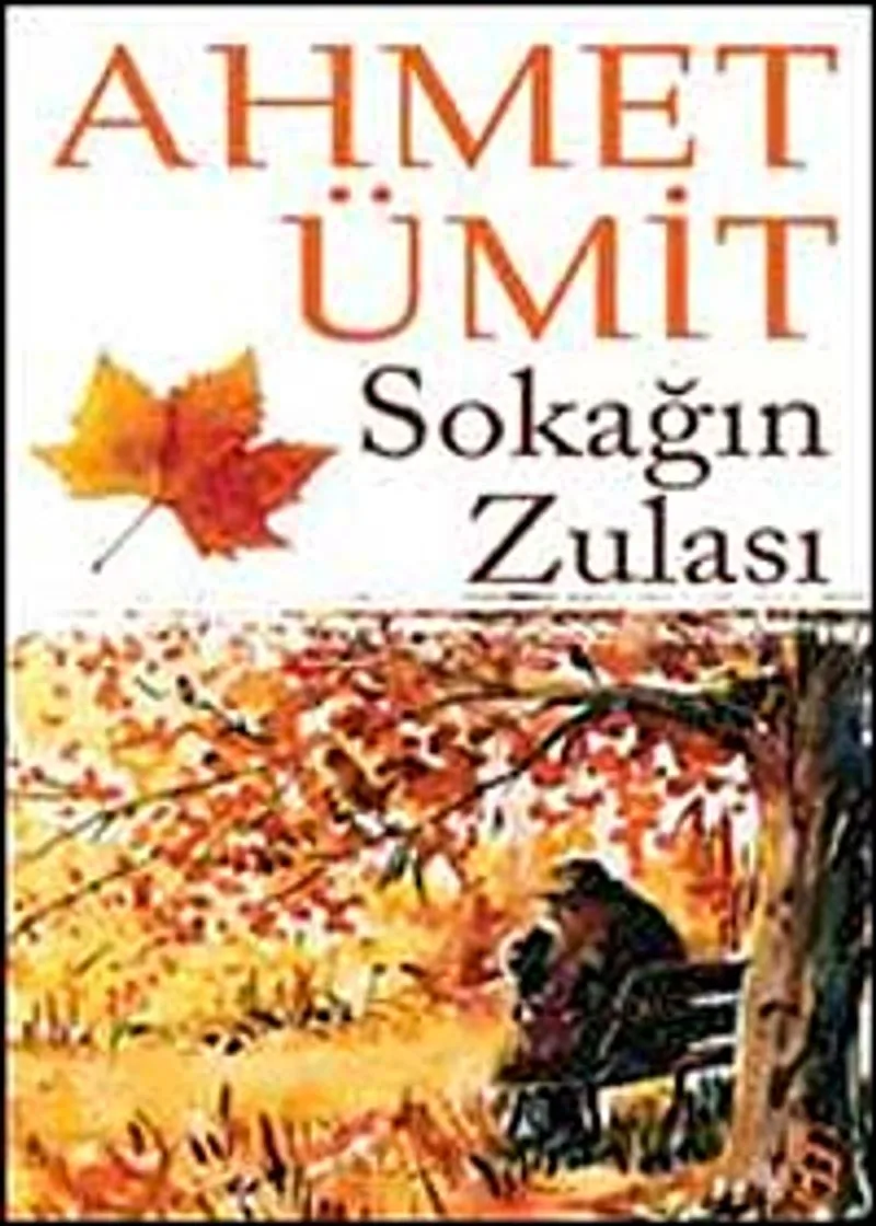 Sokağın Zulası