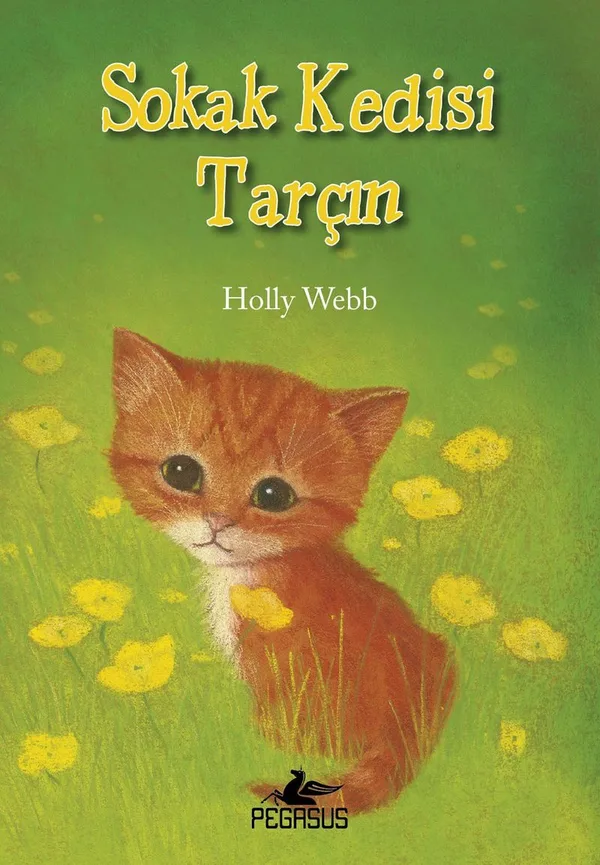 Sokak Kedisi Tarçın