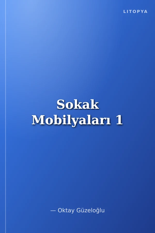Sokak Mobilyaları 1