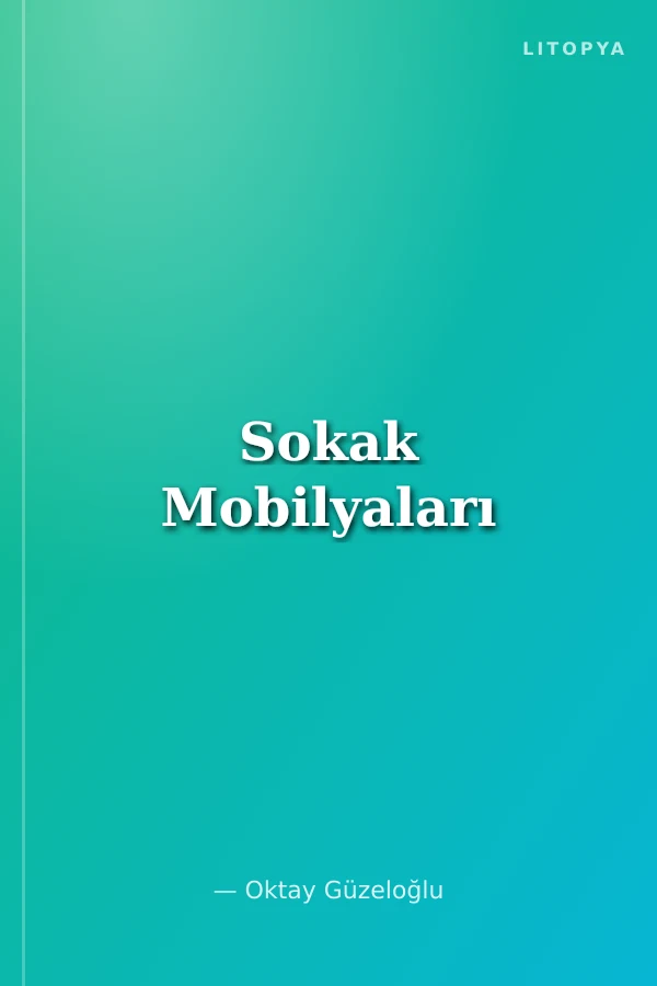 Sokak Mobilyaları