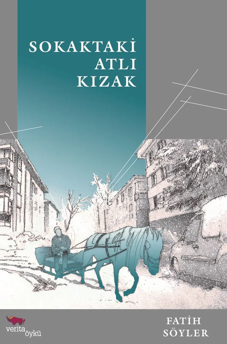 Sokaktaki Atlı Kızak