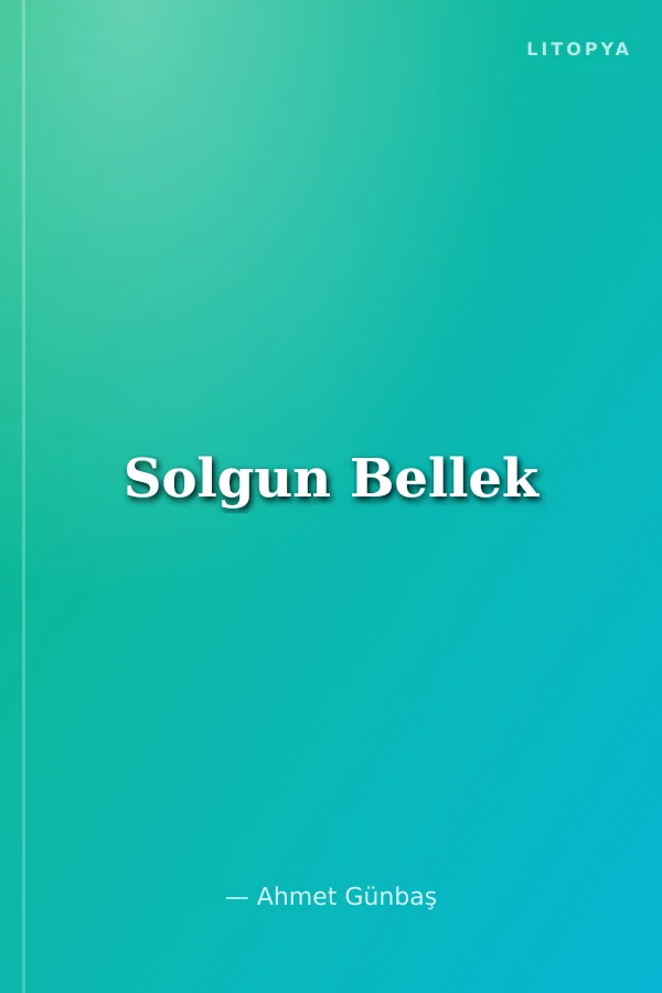 Solgun Bellek