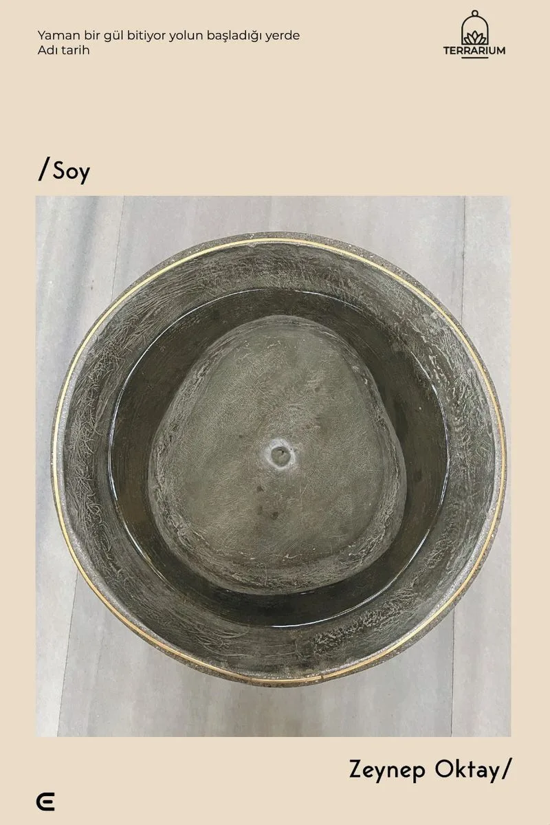 Soy