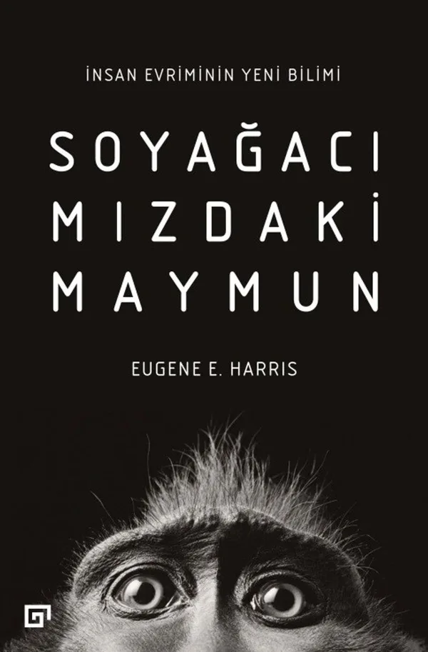 Soyağacımızdaki Maymun: İnsan Evriminin Yeni Bilimi