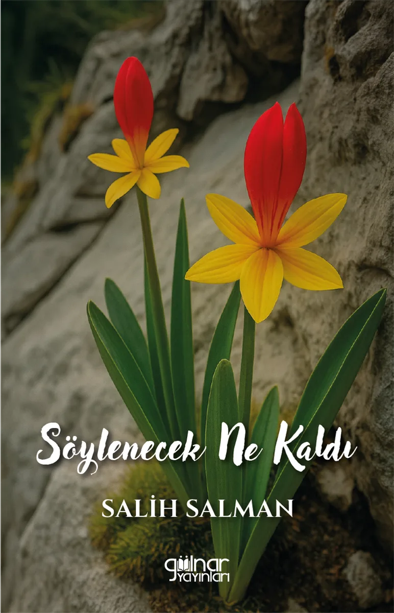 Söylenecek Ne Kaldı