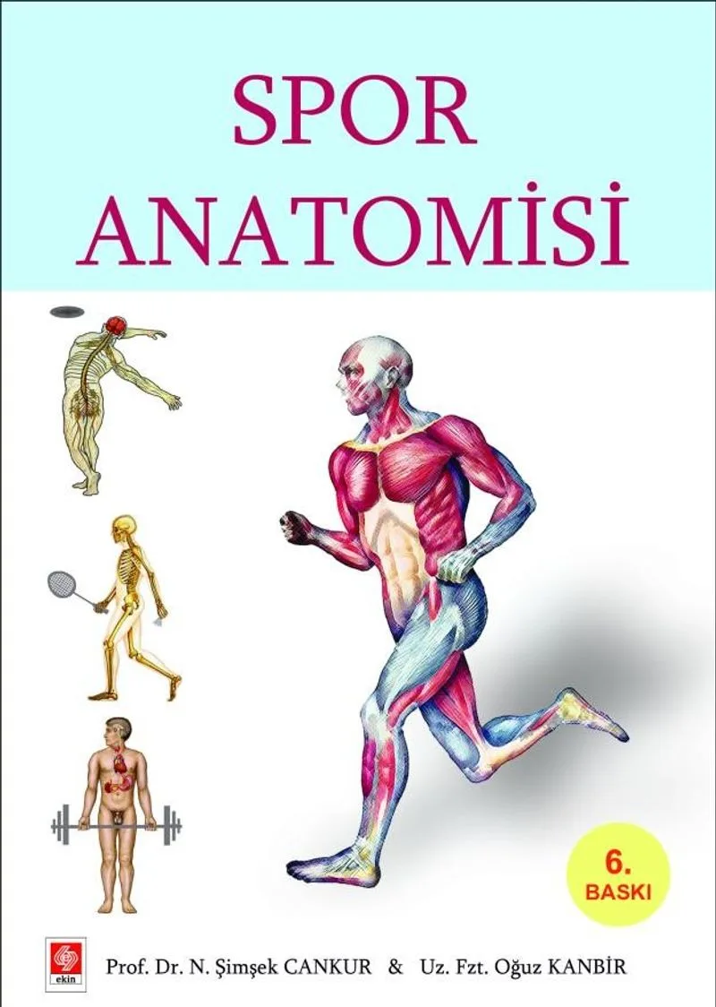 Spor Anatomisi