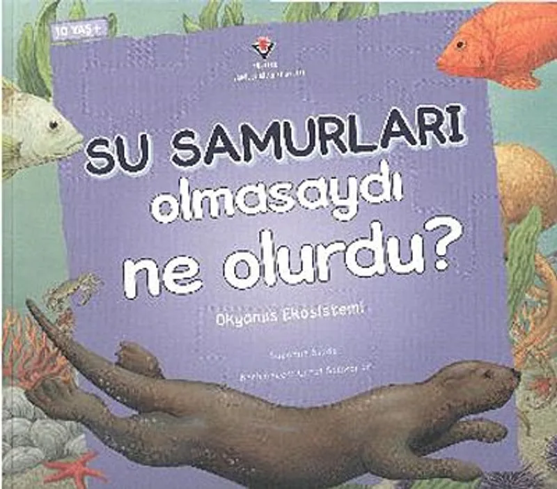Su Samurları Olmasaydı Ne Olurdu? Okyanus Ekosistemi