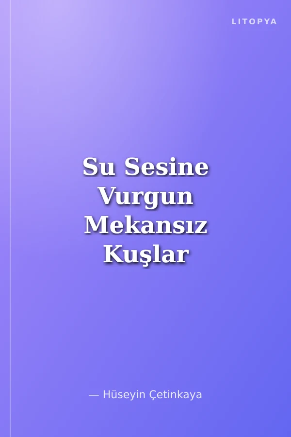 Su Sesine Vurgun Mekansız Kuşlar Şiiri