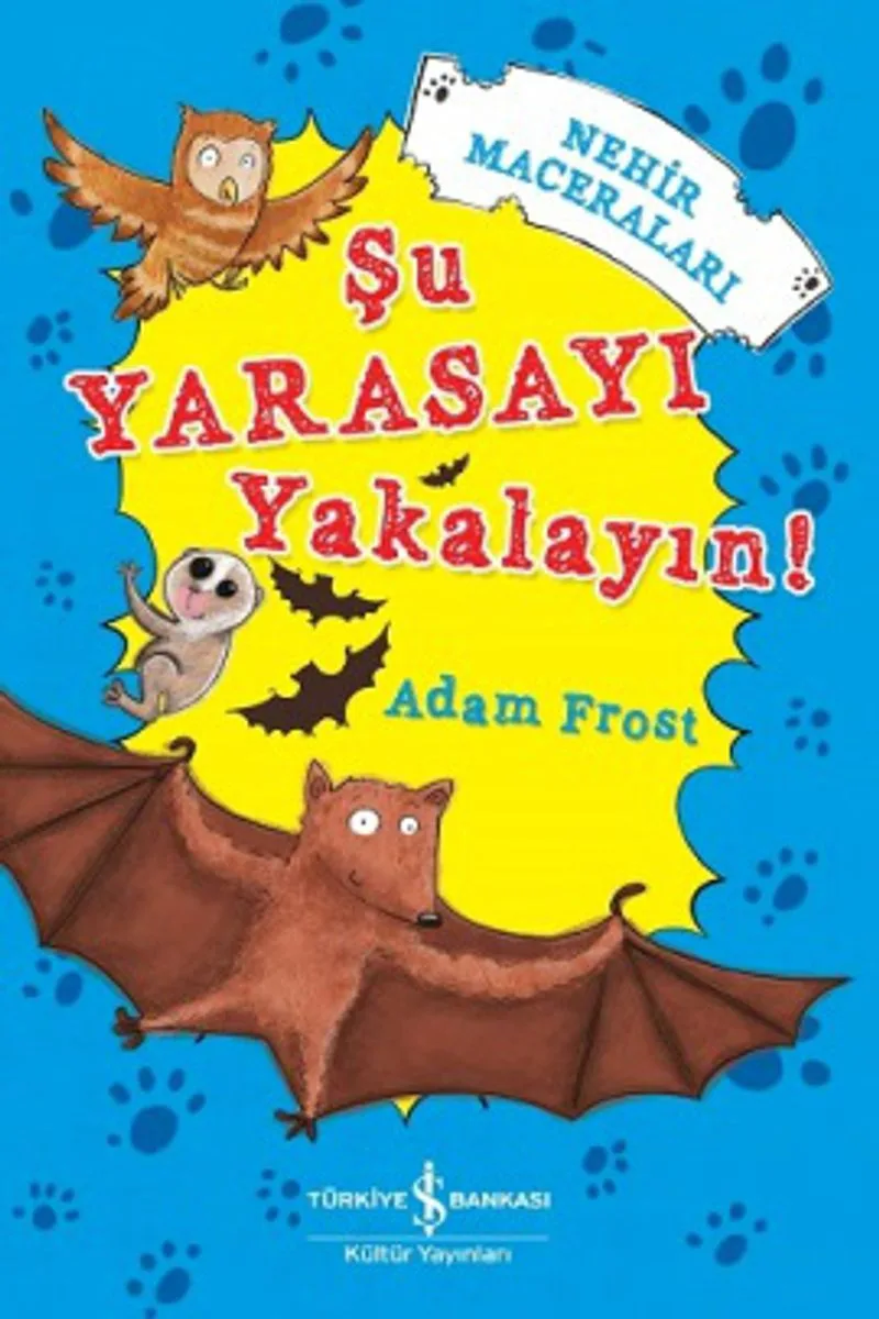 Şu Yarasayı Yakalayın! / Nehir Maceraları
